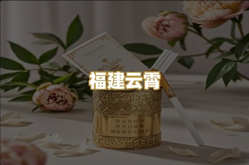 福建云霄